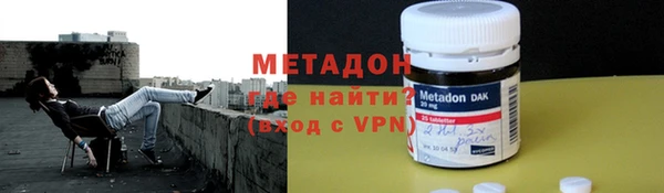 индика Козельск