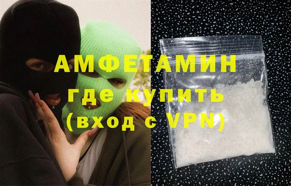 индика Козельск
