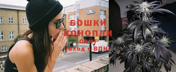 индика Козельск