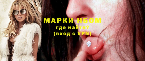 спайс Кулебаки
