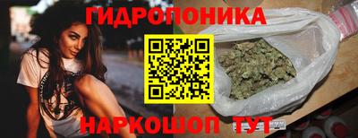 крисы Жуковский
