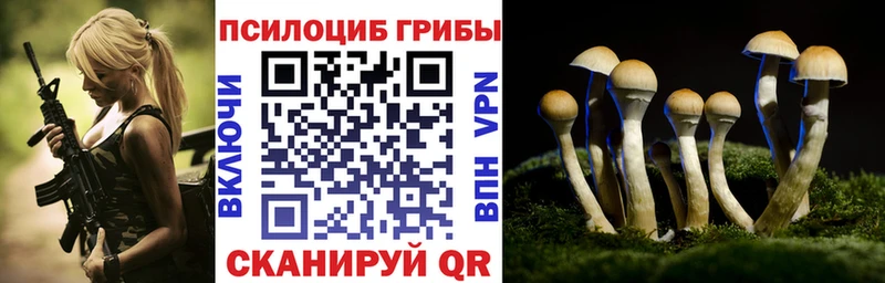 Псилоцибиновые грибы мицелий  купить наркотики сайты  Кунгур 