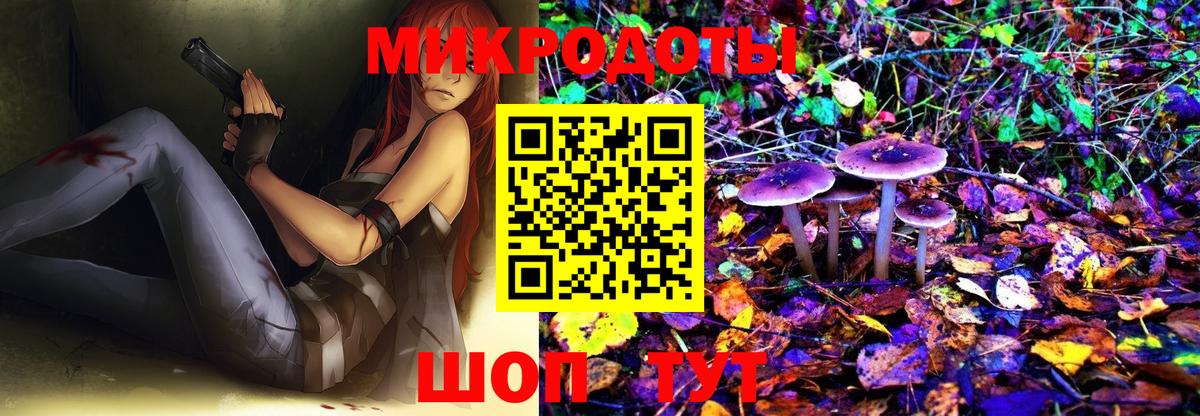 Кунгур  Псилоцибиновые грибы Magic Shrooms  Вход с VPN 